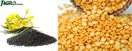 1agro.com.ua