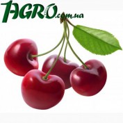 1agro.com.ua