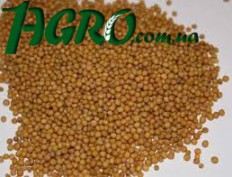 1agro.com.ua