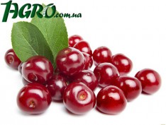 1agro.com.ua