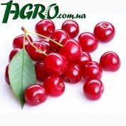 1agro.com.ua