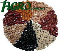 1agro.com.ua