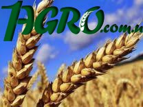 1agro.com.ua