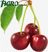1agro.com.ua
