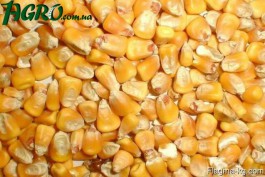 1agro.com.ua