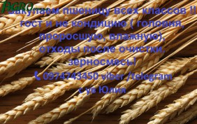 1agro.com.ua