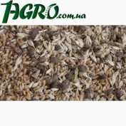1agro.com.ua