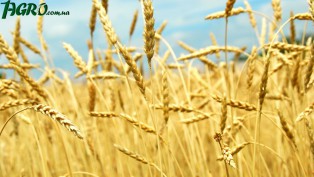 1agro.com.ua