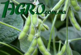 1agro.com.ua