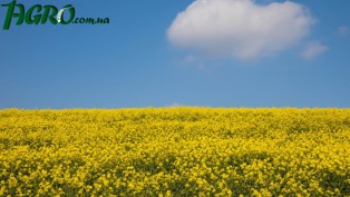 1agro.com.ua