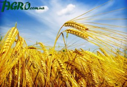 1agro.com.ua