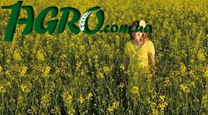 1agro.com.ua