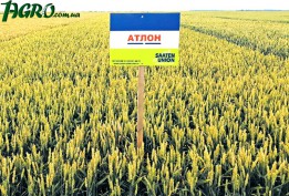 1agro.com.ua