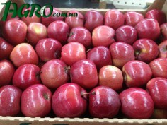 1agro.com.ua