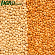 1agro.com.ua