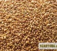 1agro.com.ua