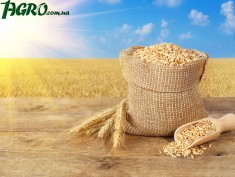 1agro.com.ua