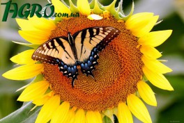 1agro.com.ua