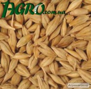 1agro.com.ua