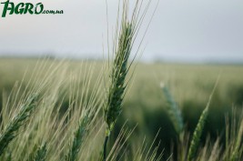 1agro.com.ua