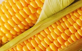 1agro.com.ua