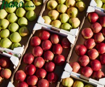 1agro.com.ua