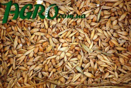 1agro.com.ua