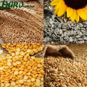 1agro.com.ua