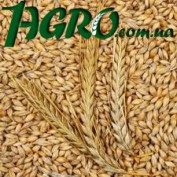 1agro.com.ua