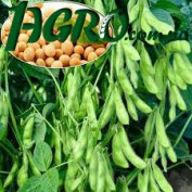 1agro.com.ua