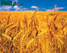 1agro.com.ua