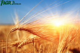 1agro.com.ua