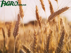 1agro.com.ua