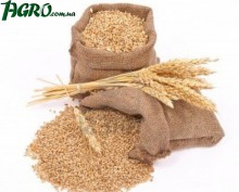 1agro.com.ua