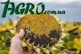 1agro.com.ua