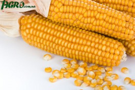 1agro.com.ua