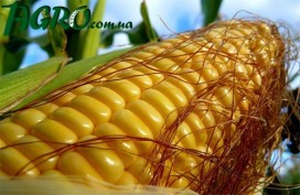 1agro.com.ua