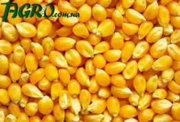 1agro.com.ua