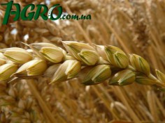 1agro.com.ua