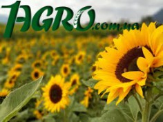 1agro.com.ua