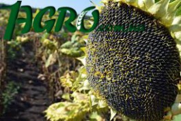 1agro.com.ua
