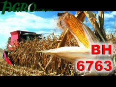 1agro.com.ua