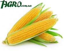 1agro.com.ua