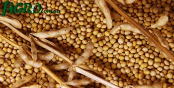 1agro.com.ua