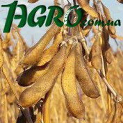 1agro.com.ua