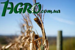 1agro.com.ua