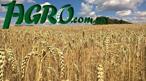 1agro.com.ua