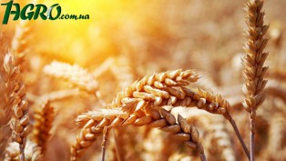 1agro.com.ua