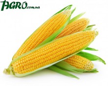 1agro.com.ua
