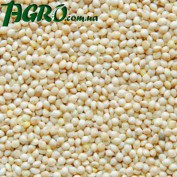 1agro.com.ua